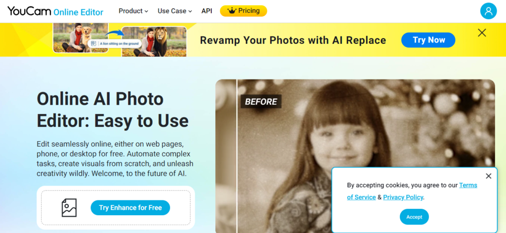 AI Tools For Photo Editing - youcam enhance