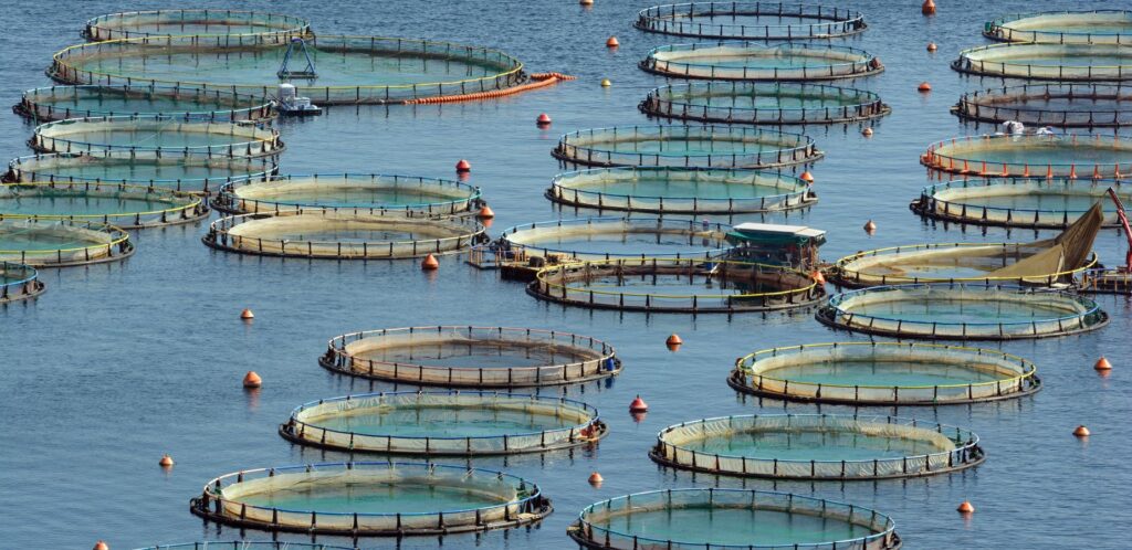 Business Ideas in Assam - Aquaculture Business