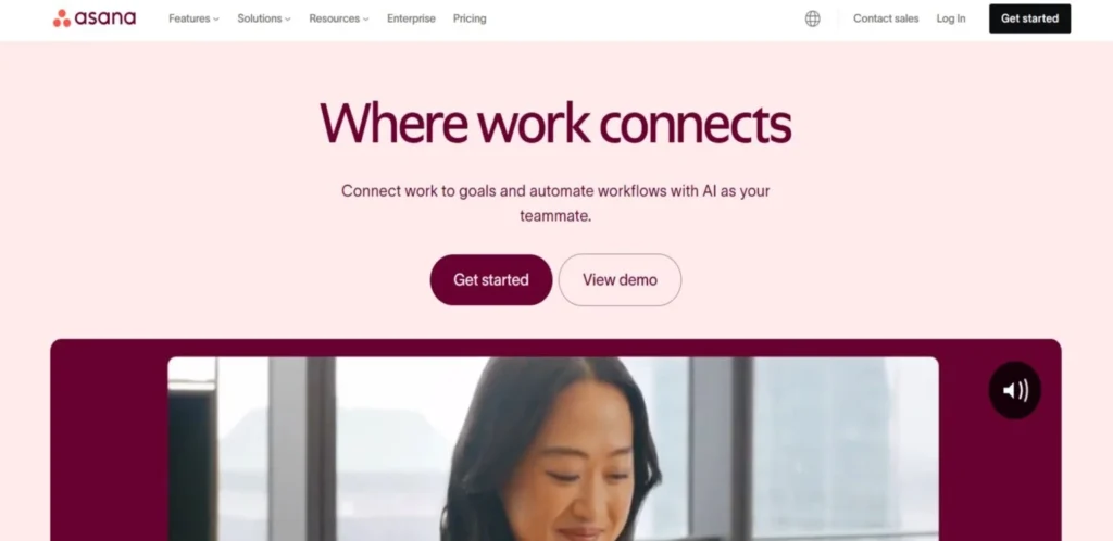 Marketing Project Management Tools-Asana