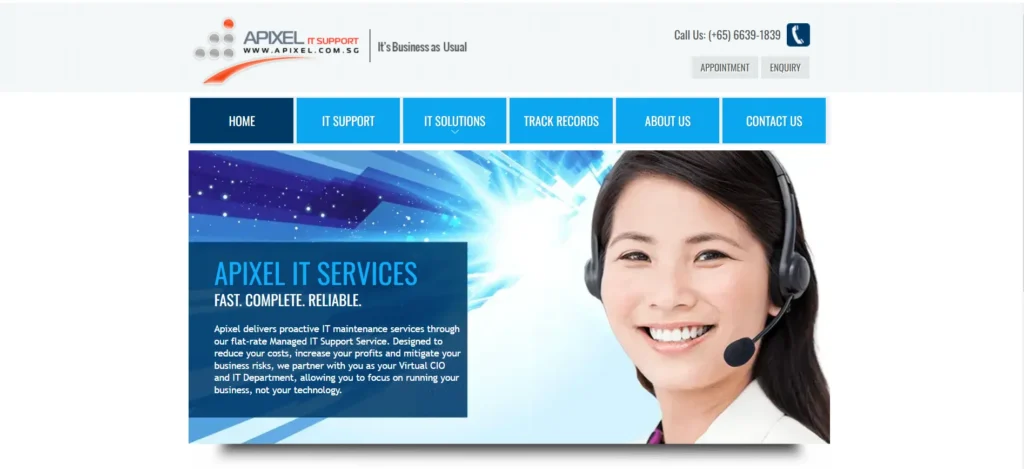 IT Companies in Singapore - Apixel