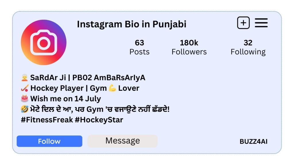 Instagram Bio in Punjabi