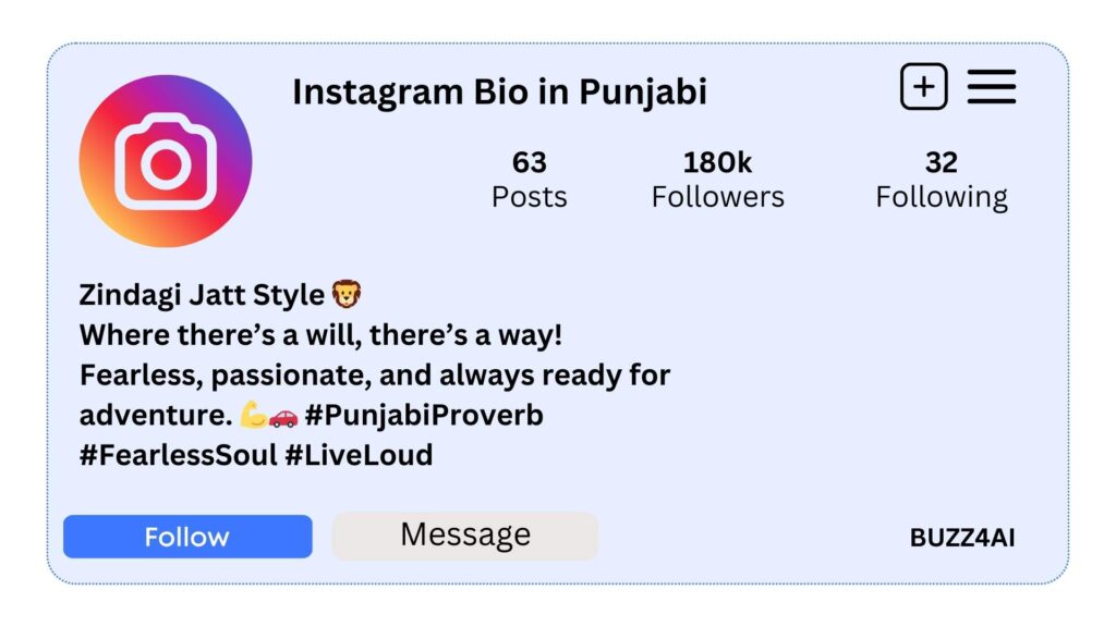 Instagram Bio in Punjabi