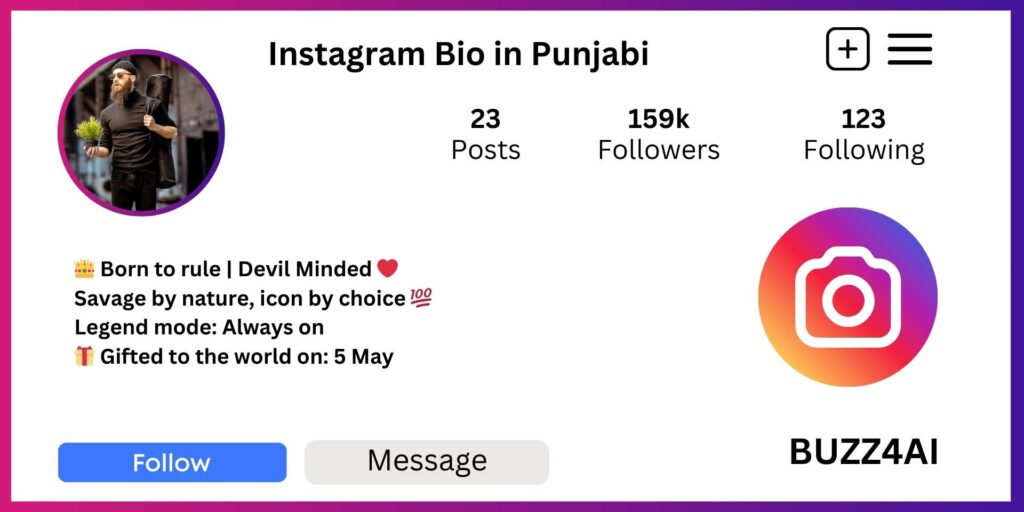 Instagram VIP Bio