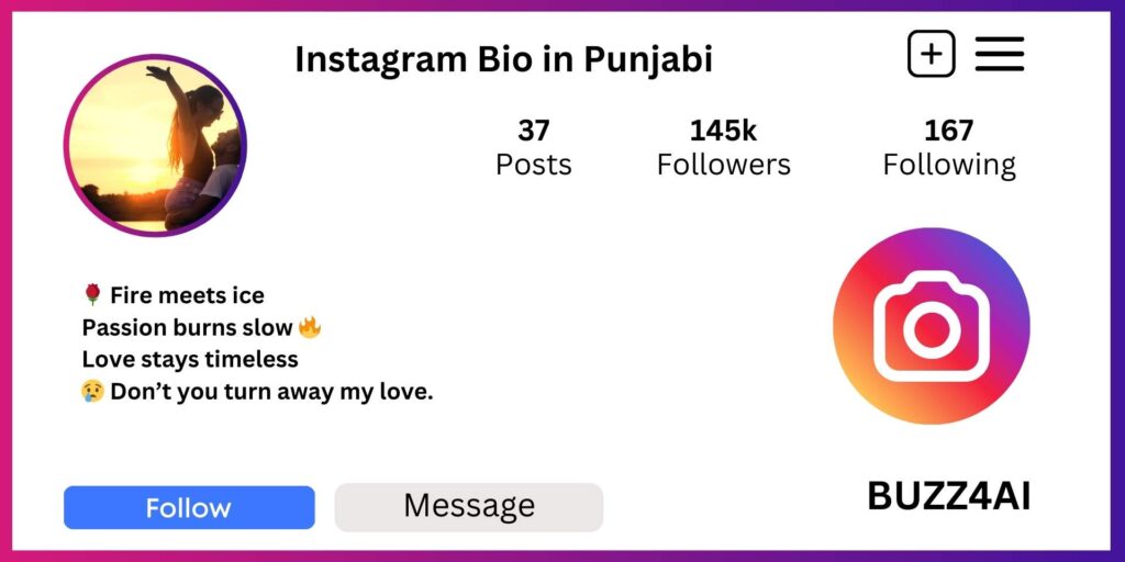 Instagram VIP Bio