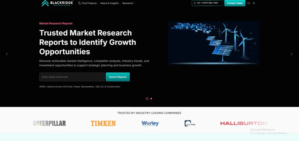Market Research Company in India-Blackridge Research
