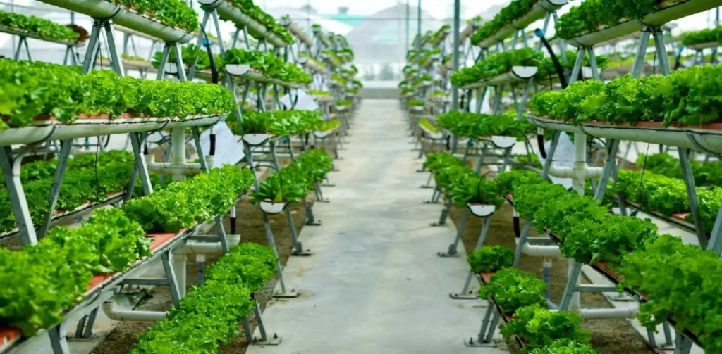 Agriculture Business Ideas