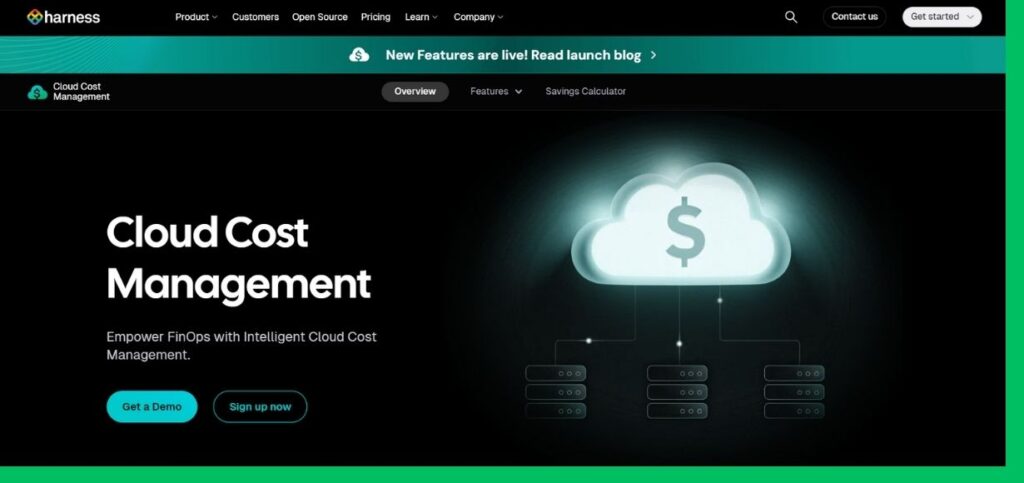 Cloud Cost Management Tools
