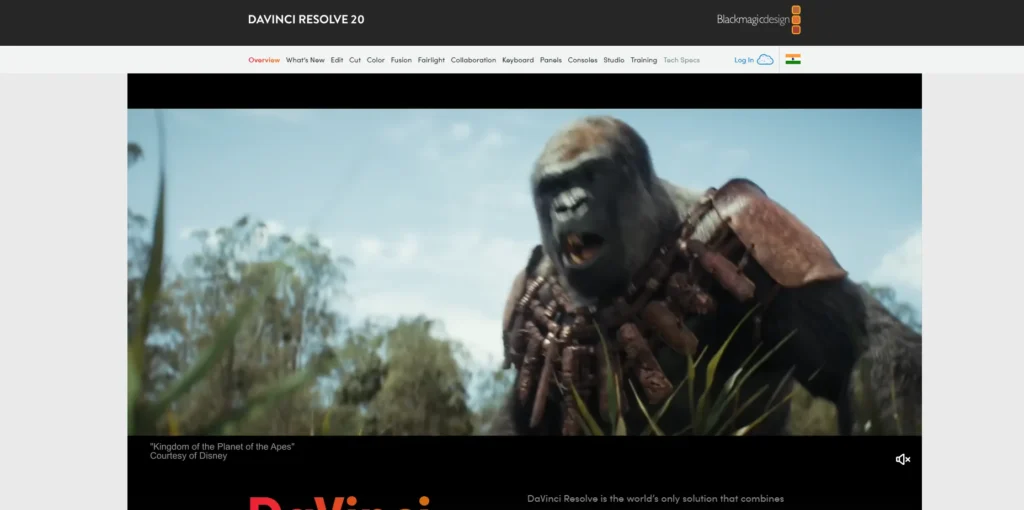 Frame.io Alternative - DaVinci Resolve