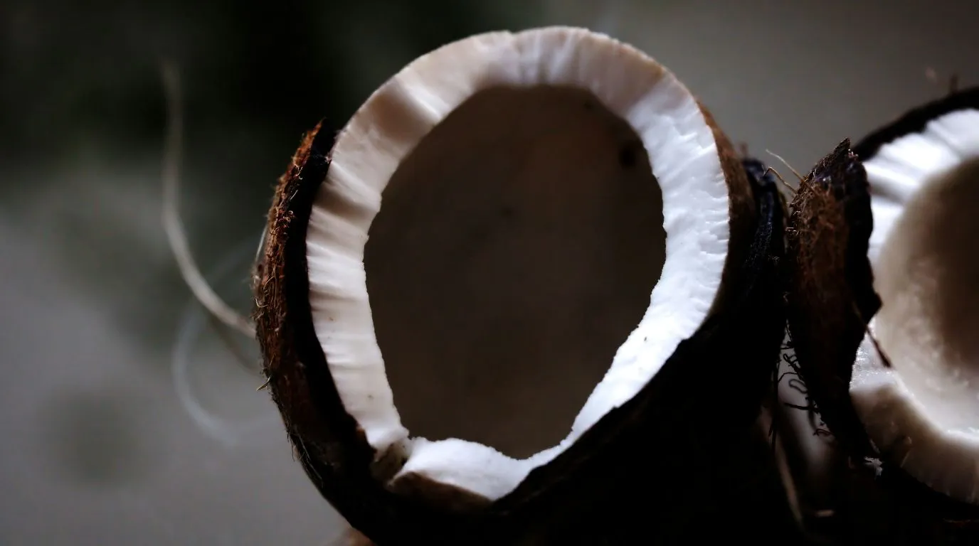 Activated Carbon from Coconut Shell - coconut business ideas