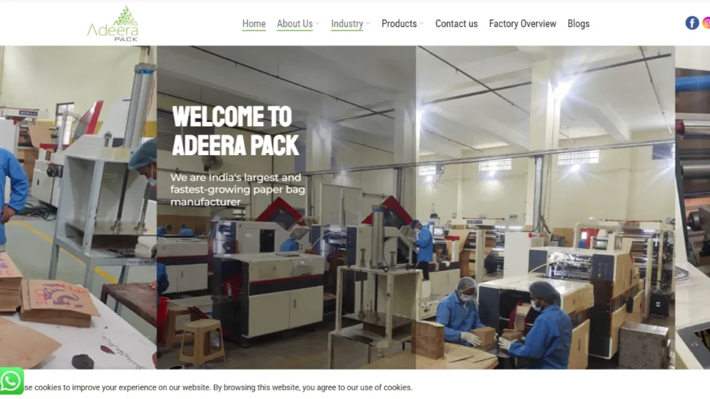 Paper Bag Manufacturers in Delhi