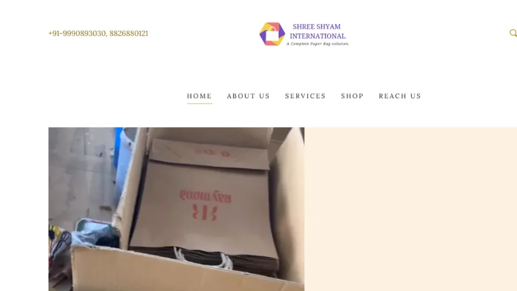 Paper Bag Manufacturers in Delhi