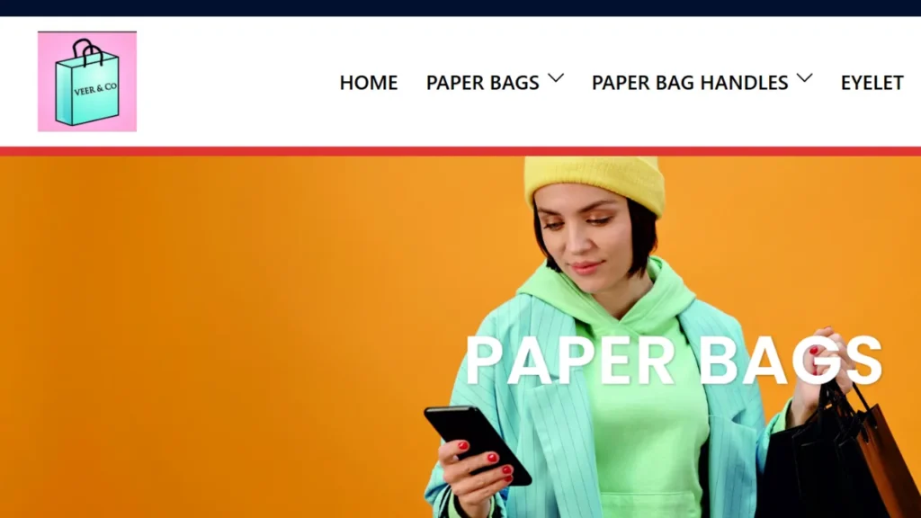 Paper Bag Manufacturers in Delhi