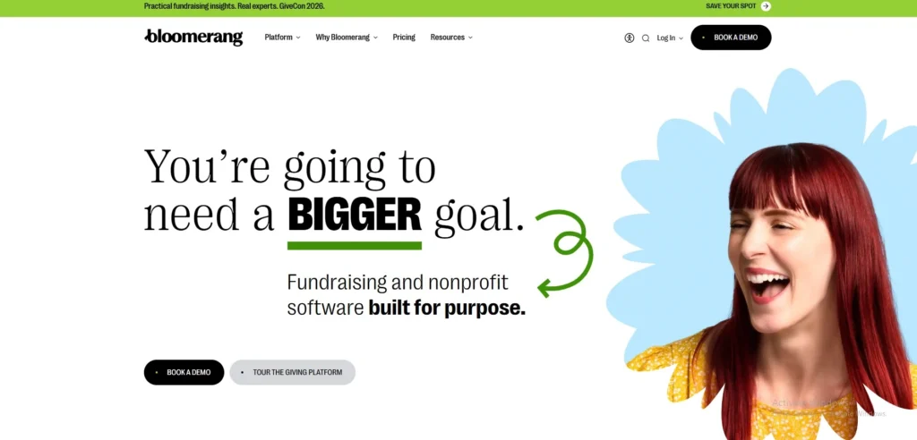 Wealth Screening Tools for Nonprofits
- Bloomerang