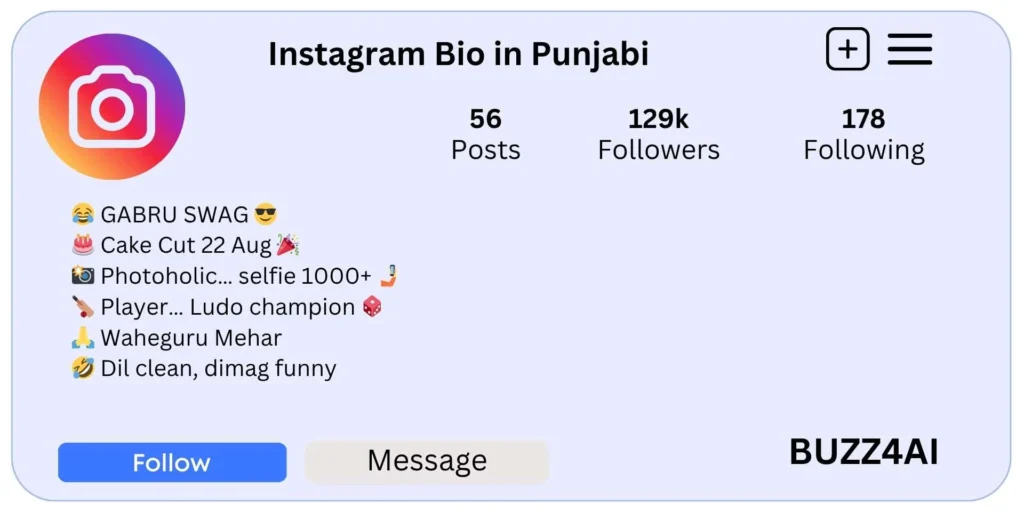Instagram Bio in Punjabi
