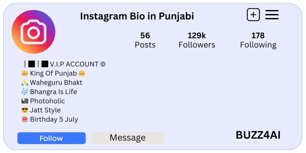 Instagram Bio in Punjabi