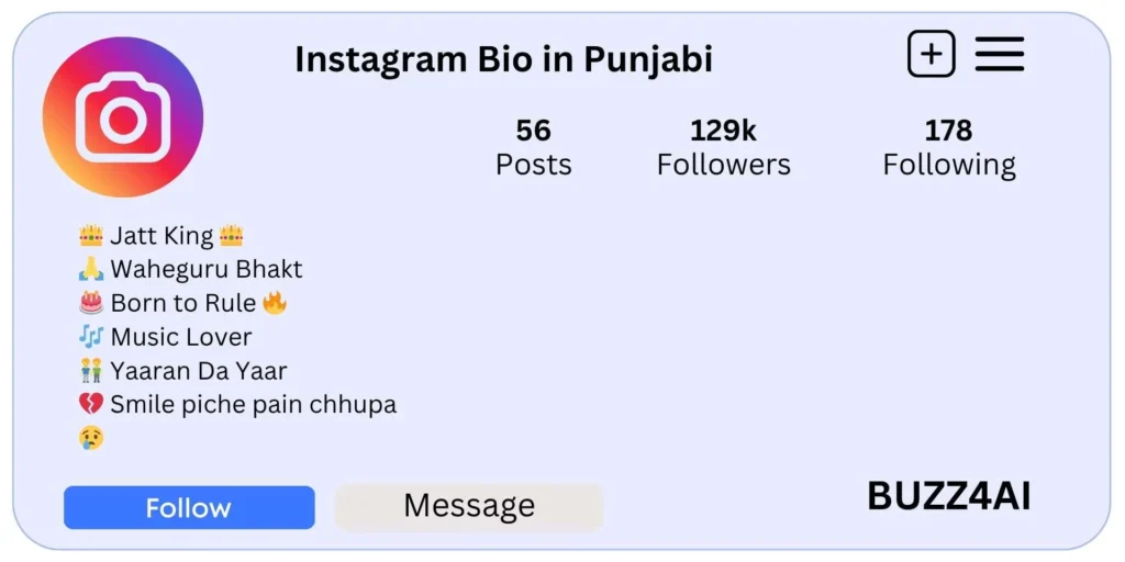 Instagram Bio in Punjabi
