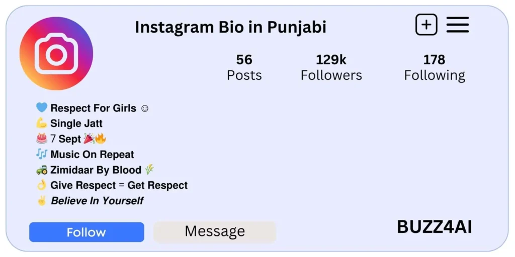 Instagram Bio in Punjabi