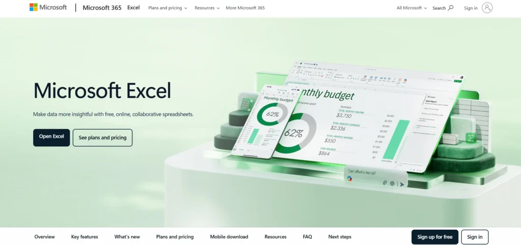 Data Entry Software - Microsoft Excel