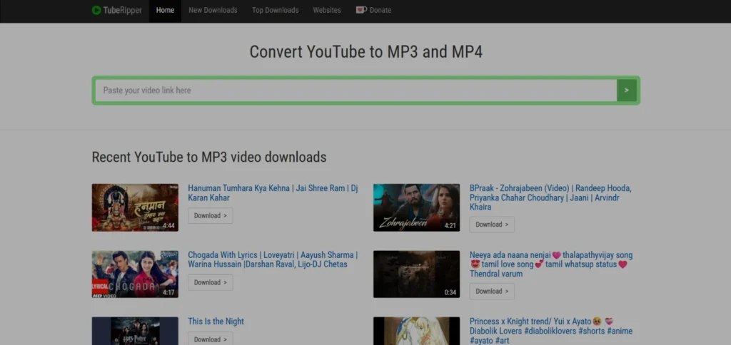 YouTube audio downloader online - TurboScribe