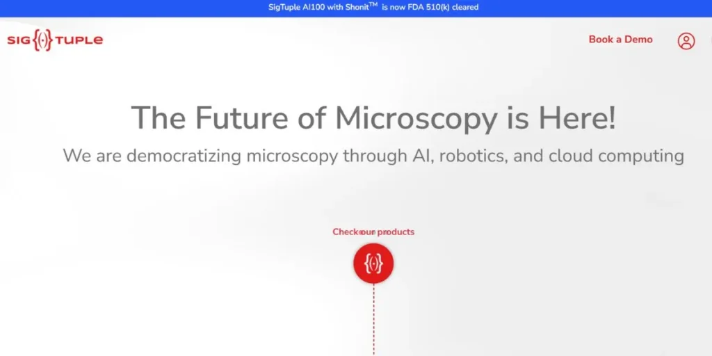 AI Startup Companies in India