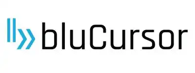 BluCursor Infotech Pvt. Ltd. - IT Companies in Indore