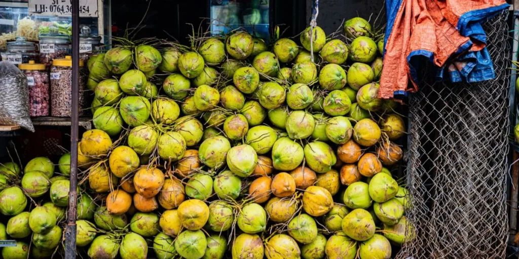 Business Ideas in Kerala