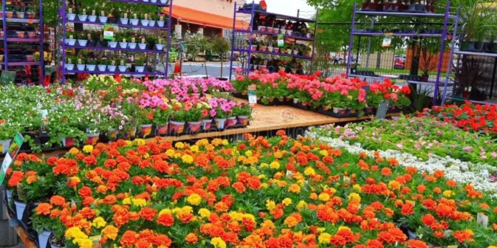 Home Plant Nursery - DIY Small Business Ideas