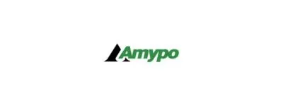 Top IT Software Companies in Coimbatore - AMYPO Solutions